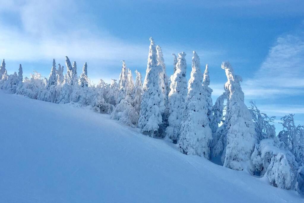 The Mountainside By Escapades Tremblant Appartement Mont-Tremblant Buitenkant foto