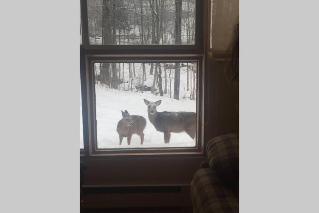 The Mountainside By Escapades Tremblant Appartement Mont-Tremblant Buitenkant foto